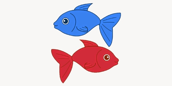 rfbfish